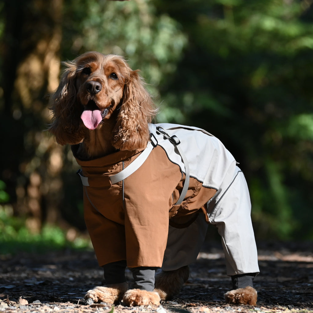 All-Terrain Dog Raincoat with Legs – Canyon Brown