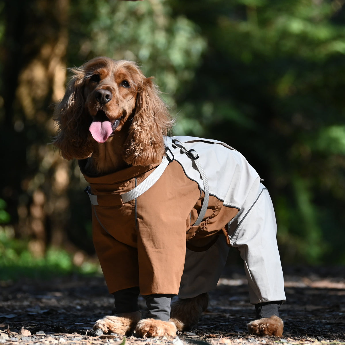 All-Terrain Dog Raincoat with Legs – Canyon Brown
