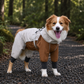 Brown and cream Pawé Lab dog raincoat, front three-quarter view